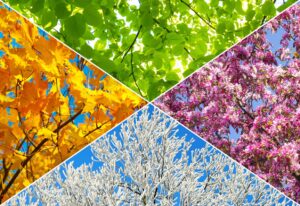 Driveway Maintenance Checklist for Every Season